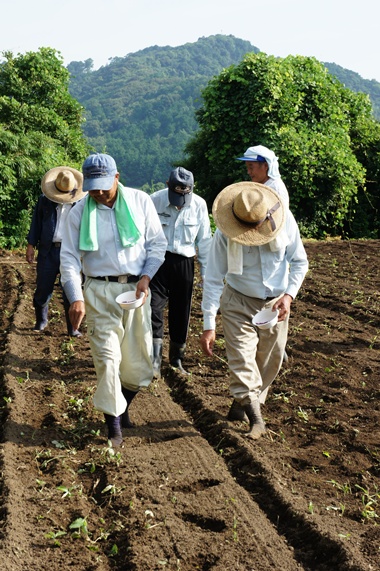 201107_020.jpg