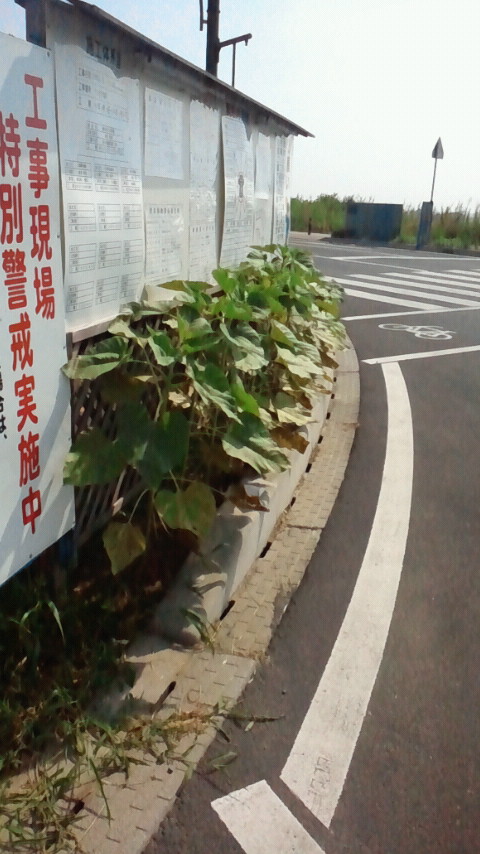 201108_010.jpg