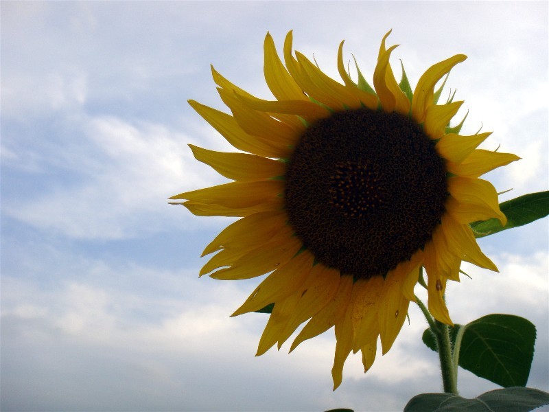 201108_076.jpg