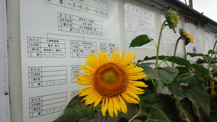 201109_046.jpg