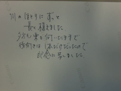 201112_091.jpg