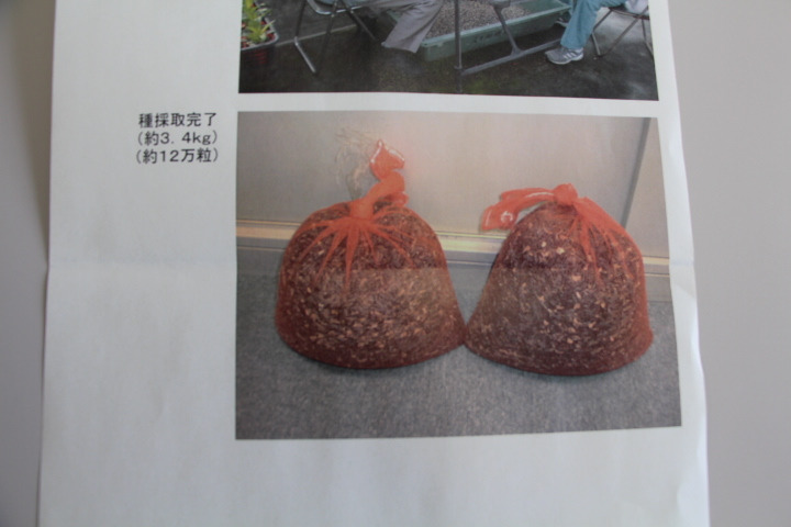 201201_002.jpg