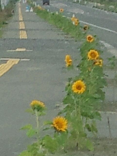 201209_072.jpg