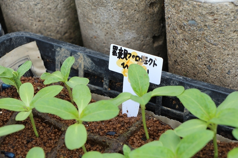201306_042.jpg
