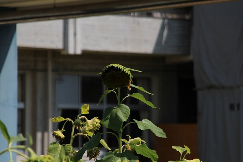 201308_073.jpg