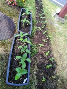 201708_084.jpg