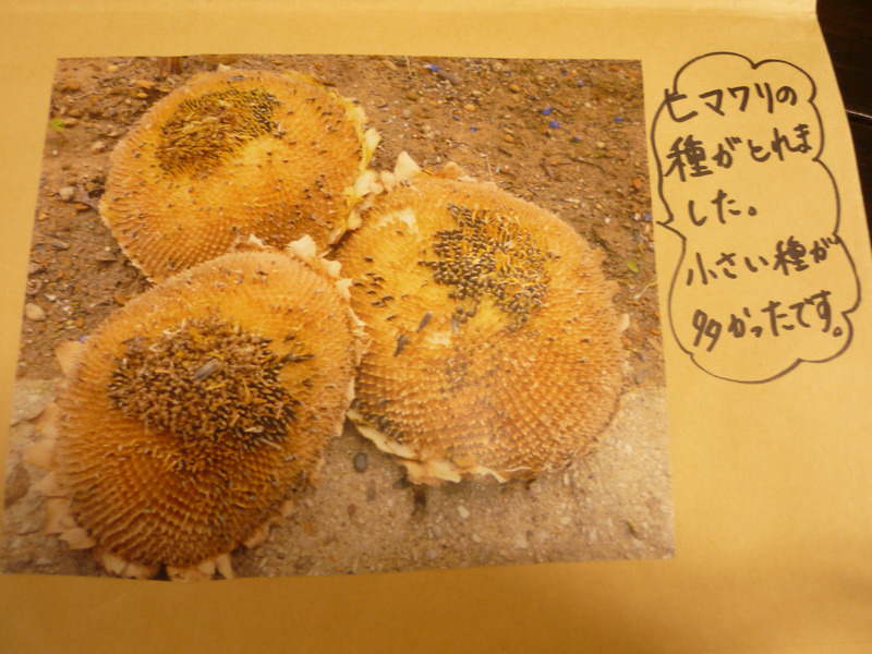 201806_265.jpg