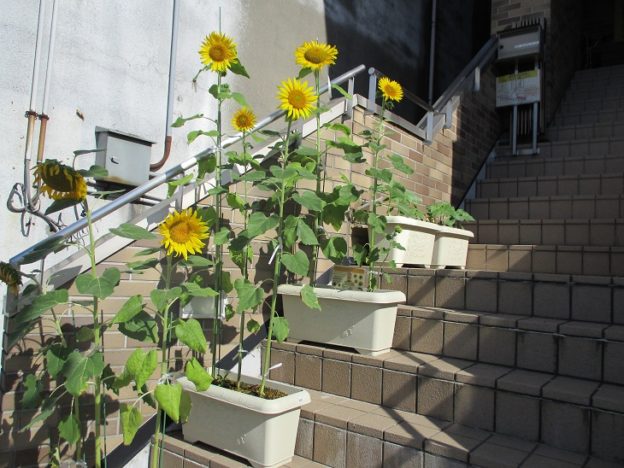 201908_060.jpg