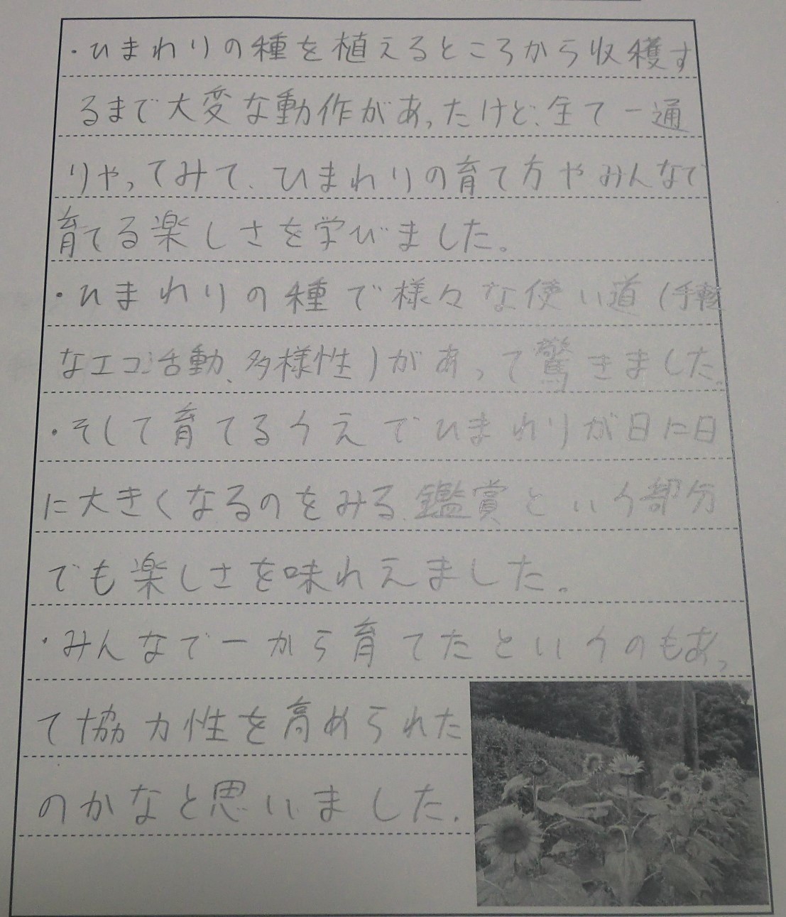 439c0d226d58f380ccac56df0fac8e62-1686312554.jpg