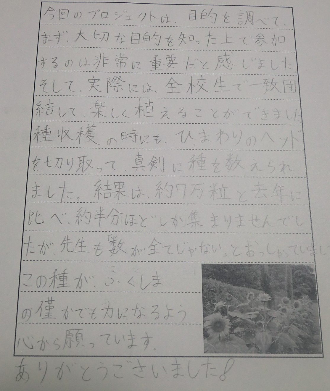 5af5cf18700fec5ab12b4ff199f4a516-1686312562.jpg