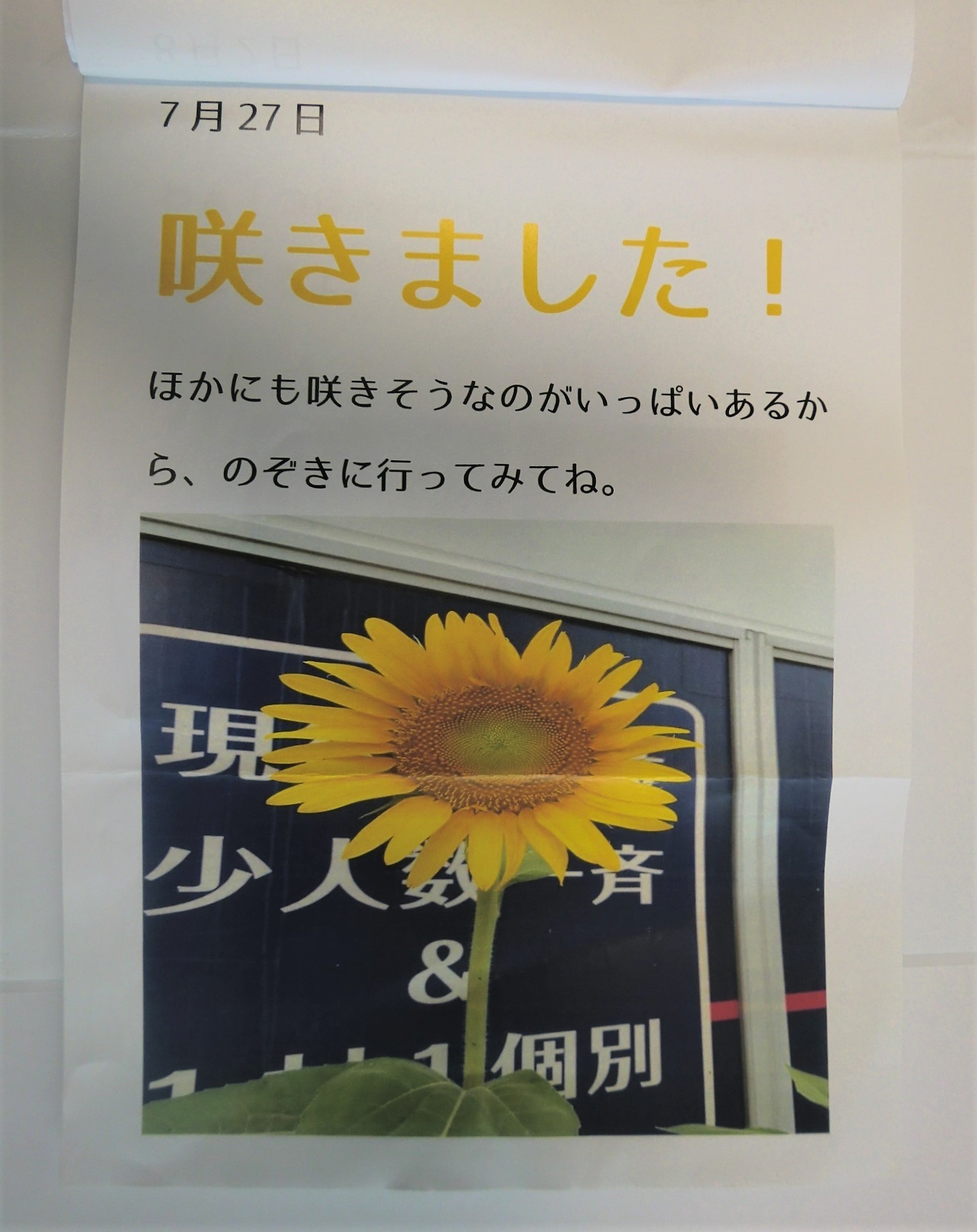 4dfada6984f03900dd4754ecc3e607e2-1695613042.jpg