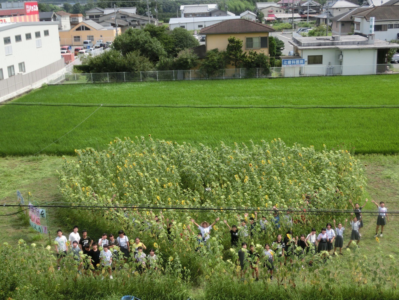 里親さんからのメッセージ（応其小学校児童会）