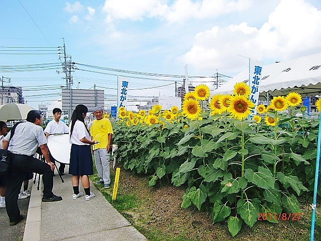 里親　海田町ひまわり会さま（広島県）