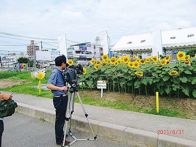 里親　海田町ひまわり会さま（広島県）