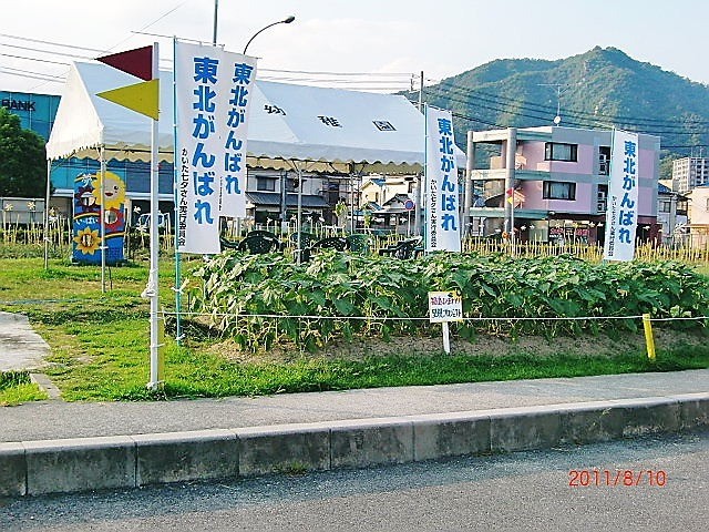 里親　川上さま（広島県）