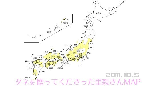 全国の里親のみなさまからひまわりのタネが届いています（１０月５日）