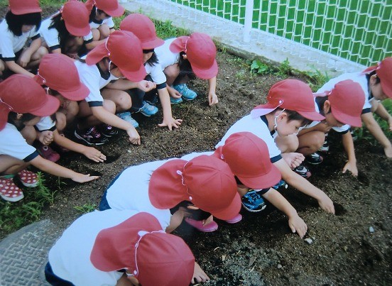 長野県　白馬幼稚園の年長組さま