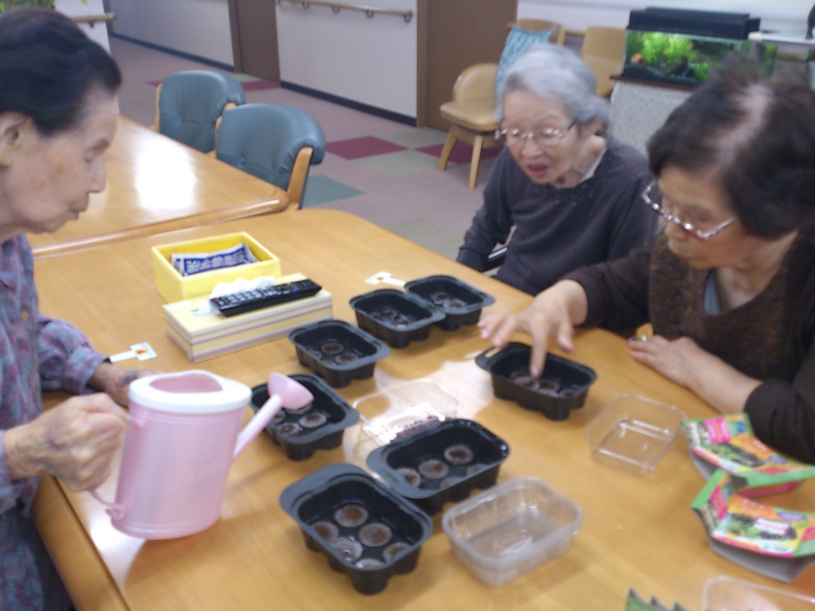 里親　ベストタイムアリス園芸クラブさま（埼玉県）