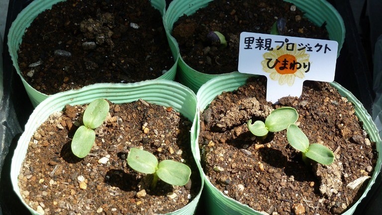 里親　Yamchaさま（神奈川県）