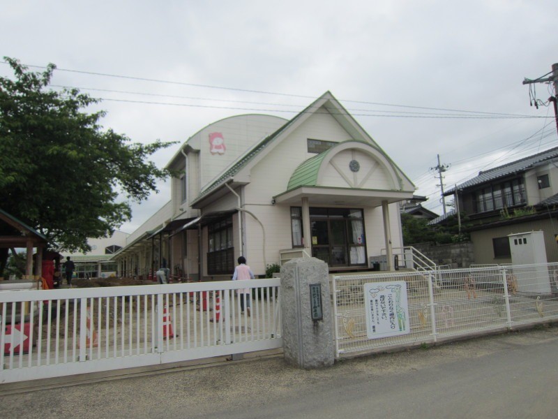 福島県内での絆のひまわり成長の記録