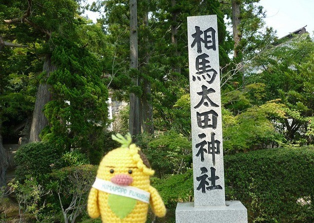 相馬野馬追祭でひまわりが咲き誇りました