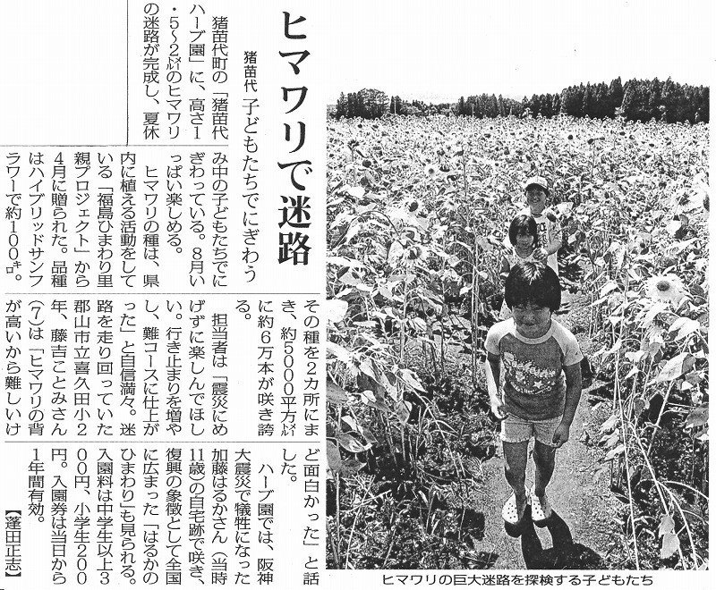 [新聞掲載] 猪苗代ハーブ園様 ひまわり迷路