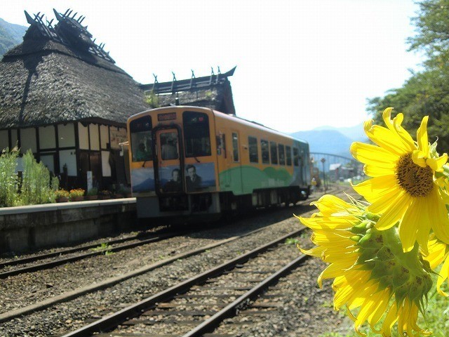 [県内開花情報] 湯野上温泉駅さま、湯野上温泉さま、裏磐梯観光協会さま