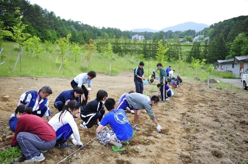 [成長報告] JICA二本松様のひまわり成長の様子