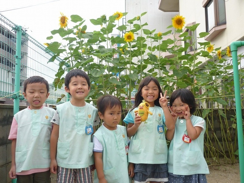 [福島県内開花情報]福島カトリック幼稚園