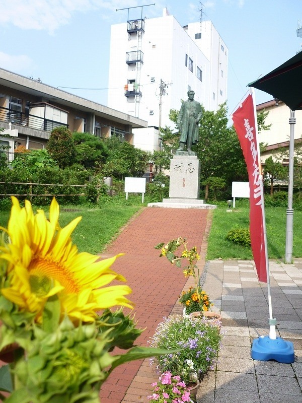 [福島県内開花情報] 野口英世青春広場