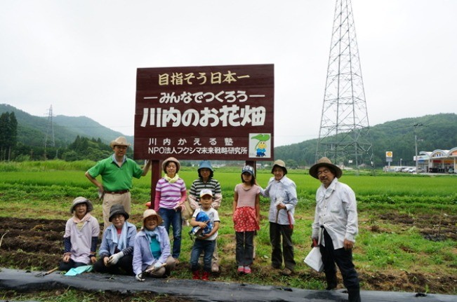 「川内のお花畑」できずなのひまわりが育てられています