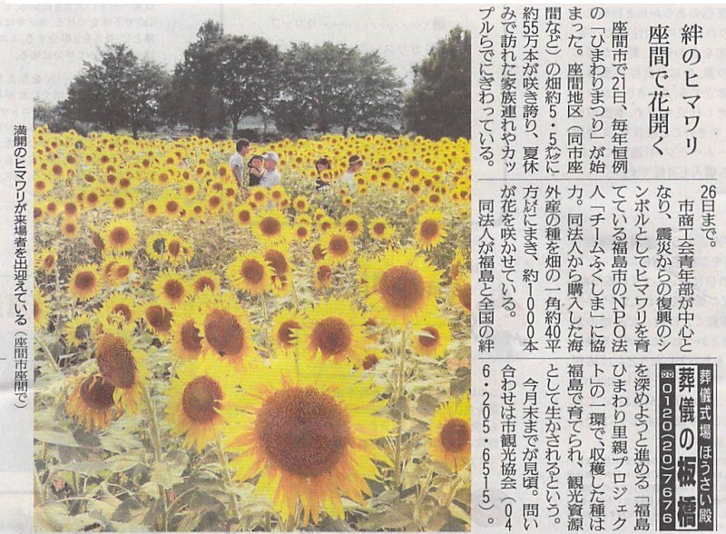 [新聞掲載]神奈川県座間市「ひまわりまつり」の様子