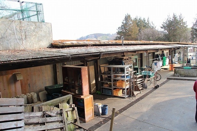 福島県内で採れたきずなの種　バスのエネルギーに