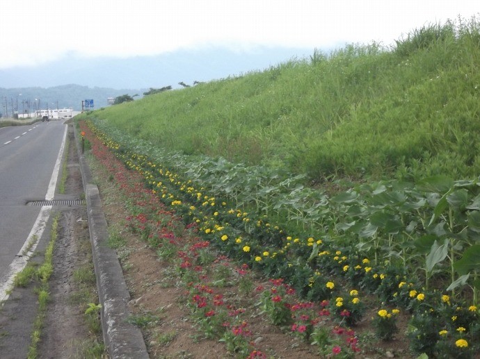 里親さんからのメッセージ（長野県　木島平中学校 様）