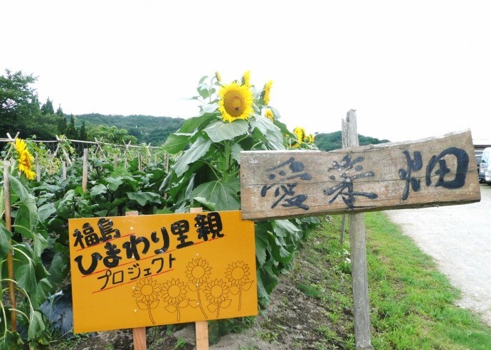 里親さんからのメッセージ（島根県　ハートクック君）