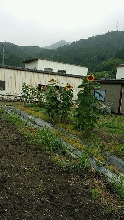 福島県内の取り組み（特別養護老人ホームさわやかアイリス様）