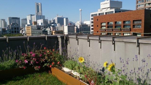 里親さんからのメッセージ（神奈川県　NTT東日本-南関東　神奈川事業部 様）