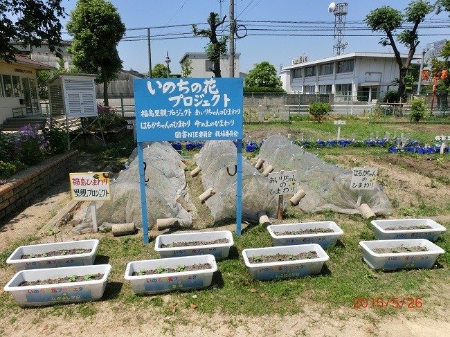 里親さんからのメッセージ（広島県　かいたのヒマワリ屋様）