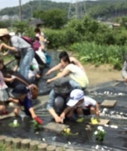 里親さんからのメッセージ（愛知県　水野地域子育てサロン様）