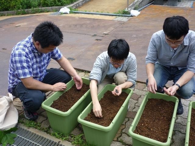 福島大学できずなの種まき