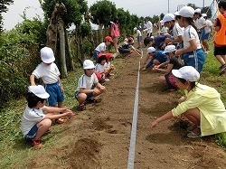 里親さんからのメッセージ（茨城県　鉾田市立旭南小学校様）