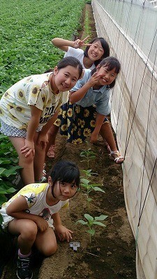 さんの取り組み（茨城県　鉾田市立旭南小学校様）