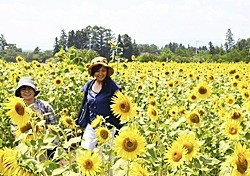 [福島開花情報]猪苗代ハーブ園　様