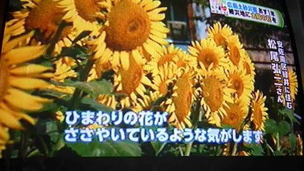 [新聞掲載] 広島土砂災害被災地に復興の希望ひまわり