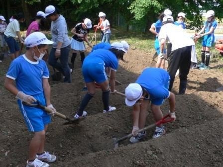 [福島開花報告] 須賀川市立西袋第二小学校　様