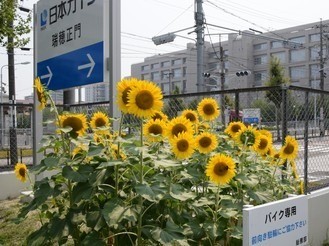 里親さんからのメッセージ（愛知県　日本ガイシ労働組合様）