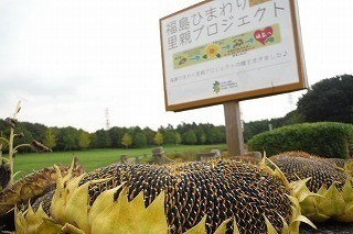 里親さんからのメッセージ（千葉県　北総花の丘公園様）