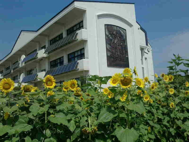 【福島開花報告】会津坂下町立坂下東小学校　様