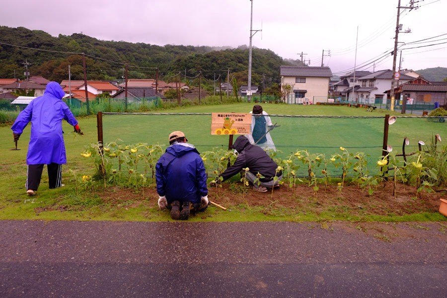 里親さんからのメッセージ（鳥取県　鳥取市白兎観光協会様）