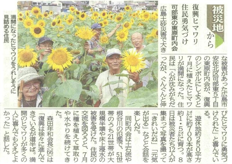 【新聞掲載】広島県安佐北区 東原町内会　復興のひまわり開花